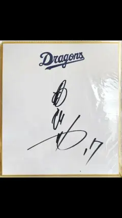 中日ドラゴンズ　柳裕也選手　直筆サイン色紙