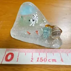 シーグラス:犬と魚