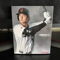 【美品】プロ野球スピリッツ 2024-2025 PS5
