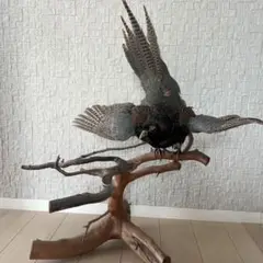 キジ剥製　 置物 剥製 インテリア