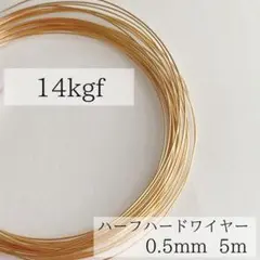 Item thumbnail for item 12e4c936-be82-404c-8ae1-f408fc0549f3