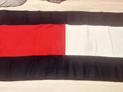 【✨️お盆限定大特価✨️】TOMMY HILFIGER トリコロールカラーマット
