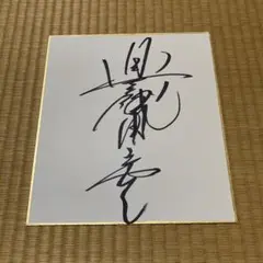 【レア品】Winning ボクシンググローブ 8oz 長谷川穂積さんサイン入り レア品】Winning ボクシンググローブ 8oz 長谷川穂積さんサイン
