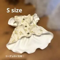 Item thumbnail for item 87ddb7f5-947f-4787-875b-3552e39aa488