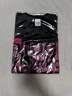 Item thumbnail for item 75c9290e-062d-4687-a41d-c008d7a7edb4