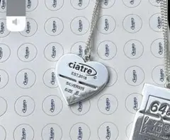 ciatre memory card pendant heart