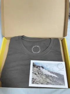 山と道 DF Mesh Merino Sleeveless 新品 サイズL