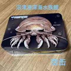 沼津港深海水族館　お菓子缶　空缶　お土産