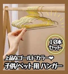 【セール】　ハンガー　ペットハンガー 犬 猫 子供服　Mサイズ　10本セット