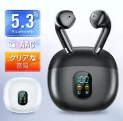 Item thumbnail for item 2df08439-8f03-446e-b26b-7f2099e7a388