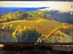 LG 24QP750-B 液晶モニター本体　WQHD