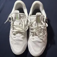 ASICS アンプレアルスlow2