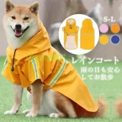 Item thumbnail for item 82a8a07b-c0fe-4b02-8649-719776697d3b
