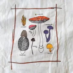 MONT-BELL モンベル Tシャツ メンズXSサイズ キノコ