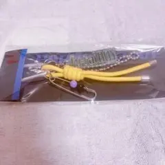 パラライ　北斎