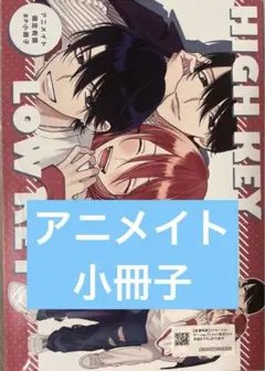 新品未開封 ハイキー×ローキー rose 灰田ナナコ アニメイト限定8P小冊子