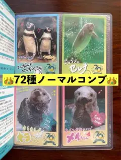 鳥羽水族館70周年記念コレクションカードノーマル　72種　コンプリートセット