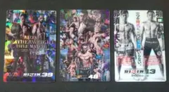RIZIN　ポテトスティック　カードのみ　3枚
