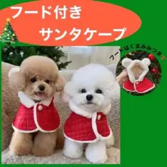 Item thumbnail for item 0849b239-4b5f-43b5-be19-955d5f89ea61