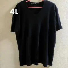 大きいサイズ　4L ブラック　Vネック半袖ニット レディース