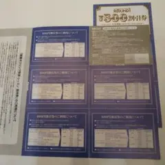 ラウンドワン 株主優待券500円分×10枚+シルバー会員入会券1枚