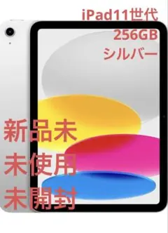 新品　未開封　iPad 第11世代　A16 256 GB Wi-Fi 本体