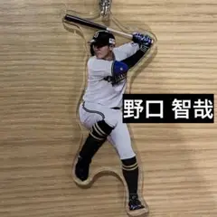 オリックス・バファローズ　コロチャレ　野口 智哉