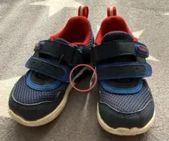 Item thumbnail for item 4157adf7-f3c3-425f-9c1e-da5421ffc95b