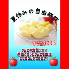 自由研究　参考書類