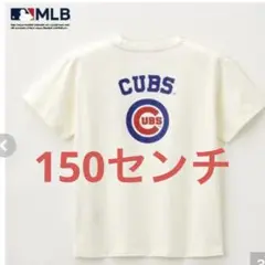 新品　カブス　tシャツ 150センチ