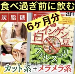 激安❗️大容量メガ盛6ヶ月分⭐️食事前に最適♪白インゲン豆+フォルスコリ✨コスパ最高