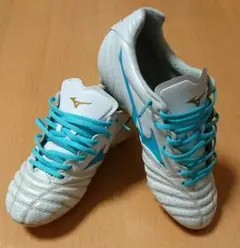 mizuno ミズノ モナルシーダネオ2 ワイド ジャパン