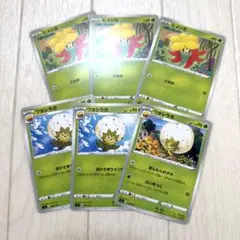 ＊ヒメンカ3枚 ＊ワタシラガ3枚