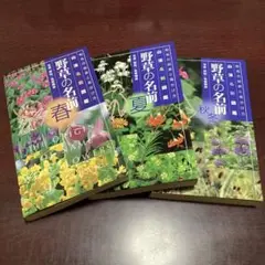 野草の名前 春・夏・秋冬　山渓名前図鑑　高橋勝雄 和名の由来と見分け方　3冊組み