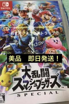 美品　Switch スマブラSP パッケージ版 動作確認済み