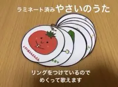やさいのうた カードシアター　リングシアター　保育