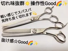 切れ味抜け抜群カットシザーセニングシザー美容師プロ用ハサミトリミングシザー理容師