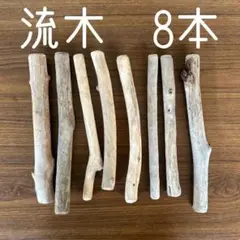 Item thumbnail for item 7f7295ee-baac-45f4-ac5f-38f73388fc75