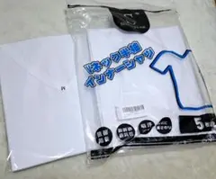 Item thumbnail for item ba175437-106b-47b4-9854-6323775f6189