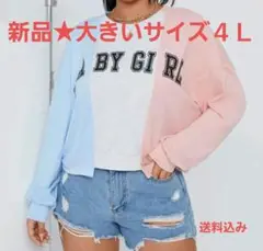 Item thumbnail for item 4bb9775d-e37a-4d07-98ab-f1d67ac86bd5