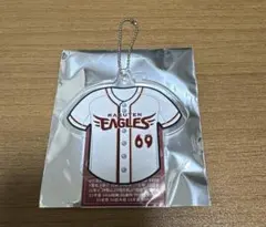 楽天イーグルス あくりるきーほるだ～ 内星龍