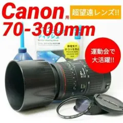 Item thumbnail for item f1273945-bf34-49ae-8eb0-e638d407c49c