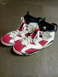 NIKE　エアジョーダン6 　27cm