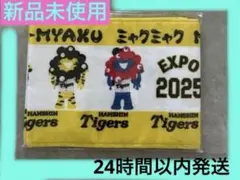 Item thumbnail for item de073b9e-9e9b-4b5b-bee2-08c0cc98760e