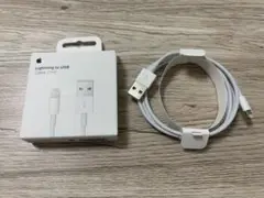 Apple Lightning to USB Cable 1m 純正品