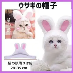 Item thumbnail for item 7733c97a-46af-4051-ac30-83f62210faca