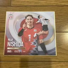 バレーボール　西田選手　色紙