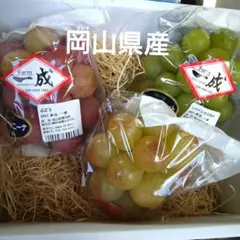 葡萄 3房 岡山県産