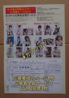 BUBKA 2025年9月号 応募者全員サービス 振込取扱票 3枚