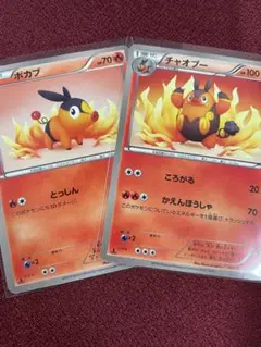 ポカブ＆チャオブー C BW1 ブラックコレクション 008/053